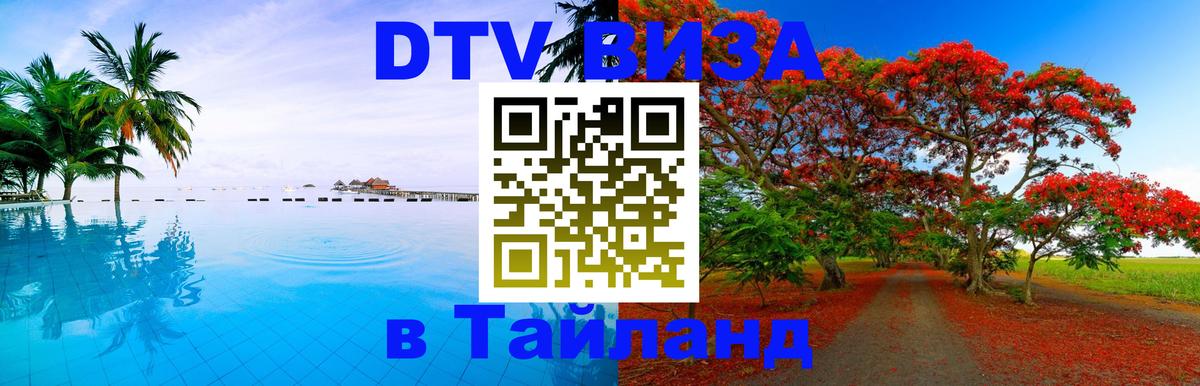 Оформление DTV визы под ключ: стоимость и тарифы, только загранпаспорт - Волгоград  04.12.2025 